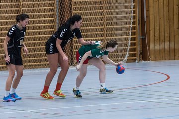 Bild 121 - Damen HSG Kremperheide/M�nsterdorf - Suchsdorfer SV : Ergebnis: 39:22